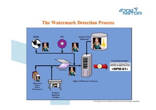 The Watermark Detection Process
 