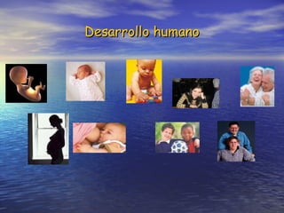 Desarrollo humano 