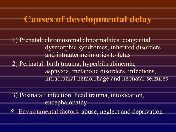 20070919 Development Delay In Neuropsychological Function洪焜隆院長
