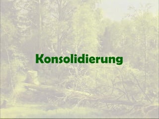 Konsolidierung
 