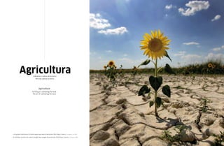 Agricultura
                                                                       (del lat. agricultüra).




                                   labranza o cultivo de la tierra.
                                     arte de cultivar la tierra.



                                          Agriculture
                                 Farming or cultivating the land.
                                  the art of cultivating the land.




 » un girasol sobrevive a la fuerte sequía que asola la península. Villa-Viejas, Cuenca. 2 de agosto de 2006
» a sunflower survives the severe drought that ravages the peninsula. Villa-Viejas, Cuenca. 2nd august 2006
 