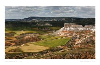» Campos de cereal en arcos de Jalón, soria. 11 de Junio de 2007   » Fields of cereal in arcos de Jalón, soria. 11th June 2007
 