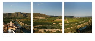 » Plantaciones de naranjos en sumacarcer, Valencia.
» orange groves in sumacarcer, Valencia.
 