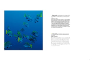 m A n u e L r i v A s a Coruña. Periodista, escritor y ensayista. Fue uno
de los fundadores de greenpeace españa. Premio nacional de narrativa
1996.
L A d i c tA d u r A G L o b A L

están los espacios de vida y están los fabricantes del vacío. en el borde de
la línea luchan la pulsión del deseo y la de la muerte. están la aparición y la
desaparición. están el descubrimiento y el esquilme. están el don y la des-
trucción. la razón humana repudia las dictaduras, las tiranías. el llamado
“cambio climático”, que suena a técnico eufemismo, no es el producto de
una fatalidad, sino la consecuencia de una dictadura, basada en la codicia,
la explotación y el terror sobre la naturaleza. no habrá excepciones, no
habrá espacios inmunes, no habrá lugar para la humanidad, si no frenamos
esa impaciente y corrosiva dictadura global.




 m A n u e L r i v A s a Coruña. Journalist, writer and essayist. he was
one of the founder members of greenpeace españa. national Prize for
narrative 1996.
G L o b A L d i c tAto r s h i P

there are vital spaces and manufacturers of void. on the borderline wrestle
the drive for desire and for death. there is appearance and disappearance.
there is discovery and exhaustion. there is gift and destruction. human
reason repudiates dictatorships, tyrannies. so-called “climate change”,
which sounds like a technical euphemism, is not the product of fate, but
the consequence of a dictatorship, based on greed, exploitation and the
terrorizing of nature. there will be no exceptions, there will be no immune
spaces, there will be no place for humanity, if we do not curb that impatient
and corrosive global dictatorship.




                                                                                  63
 