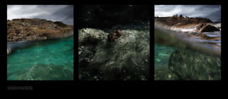 » tras pocas décadas sin actuar contra el cambio climático
» after few decades with no action taken on climate change
 