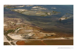 » salinas y arenales de san Pedro del Pinatar, murcia. 20 de Junio de 2007
» salt flats and sandy areas of san Pedro del Pinatar, murcia. 20th June 2007
 