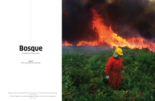 bosque
                                                      (de or. inc.)




                                sitio poblado de árboles y matas.




                                            Forest
                              a site covered with trees and bushes




» bomberos voluntarios de toda españa luchan contra las llamas en los incendios forestales que asolaron galicia.
                                                12 de agosto de 2006
  » Volunteer firefighters from all over spain fight against the flames in the forest fires that ravaged galicia.
                                                 12th august 2006.
 