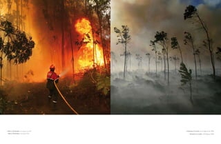 » barro, Pontevedra. 14 de agosto de 2006   » Vimianzo, a Coruña. 12 de agosto de 2006
» barro, Pontevedra. 14th august 2006          » Vimianzo, a Coruña. 12th august 2006
 