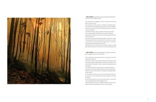 JA ne GoodALL londres (reino unido). zoóloga y antropóloga. men-
sajera de la Paz de la onu desde 2002.

¿hace falta esperar a ver imágenes como esta, en nuestra propia casa, para
darnos cuenta de lo obvio?
¿hace falta que nos afecte a nosotros, los habitantes privilegiados del pla-
neta, cuando venimos explotando desde hace siglos los recursos naturales
y humanos de los otros dos tercios del planeta, para mantener un ritmo de
consumo insostenible?
¿es realmente necesario comprar muebles de madera tropical cuando
vemos cada día imágenes de deforestación y muerte en los bosques
ecuatoriales (causa principal de la extinción de los chimpancés, entre otros
cientos de especies)?
¿es necesario consumir tanto petróleo y derivados, cuando vemos cada día
escenas sangrientas de decenas de conflictos en el mundo por su control?
y si volvemos a mirar a nuestro patrimonio natural cercano... ¿es necesario
seguir especulando en parajes que son de todos?
Cada decisión de compra que tomamos tiene el poder de mejorar el mundo
para todas las personas y el resto de seres vivos. ¿hace falta esperar más?



  JA ne GoodALL london (united kingdom). zoologist and anthropolo-
gist. messenger of Peace of the un since 2002.

do we need to wait to see pictures like these, in our own homes, to become
aware of what is obvious?
do we need it to affect us, the privileged inhabitants of the planet, when for
centuries we have been exploiting the natural and human resources of the
other two thirds of the planet, in order to maintain an unsustainable rate of
consumption?
is it really necessary to buy furniture made out of tropical timber when
every day we see pictures of deforestation and the death of equatorial for-
ests (the main cause of the extinction of chimpanzees, amongst hundreds
of other species)?
is it necessary to consume so much oil and its derivatives, when every day
we see dozens of scenes of bloody conflicts across the globe in an attempt
to control it?
and if we take another look at our nearest natural resource... do we need to
carry on speculating in places which belong to us all?
every purchase decision we take is capable of improving the world for all
people and all other living beings. do we need to wait any longer?




                                                                                 89
 