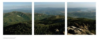 » Parque natural de los alcornocales, Cádiz. desde el “Pico del aljibe”
» alcornocales nature reserve, Cádiz. From the “Pico del aljibe”
 