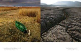 » Parque nacional de las tablas de daimiel, Ciudad real. 14 de enero de 2006   » embalse de mediano. huesca. 15 de Junio de 2005
» tablas de daimiel national Park, Ciudad real. 14th January 2006                   » mediano reservoir, huesca. 15th June 2005
 