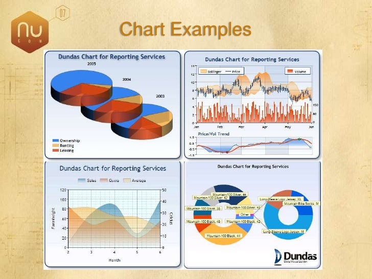 Dundas Charts For Reporting Services 2008