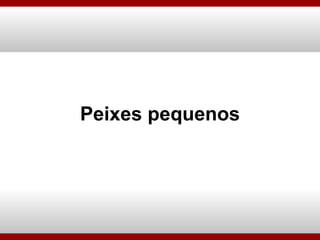 Peixes pequenos 