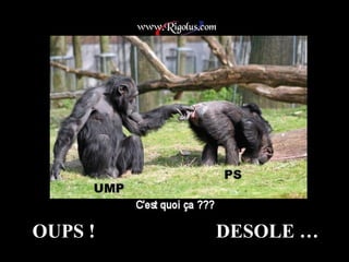 OUPS !  DESOLE … 