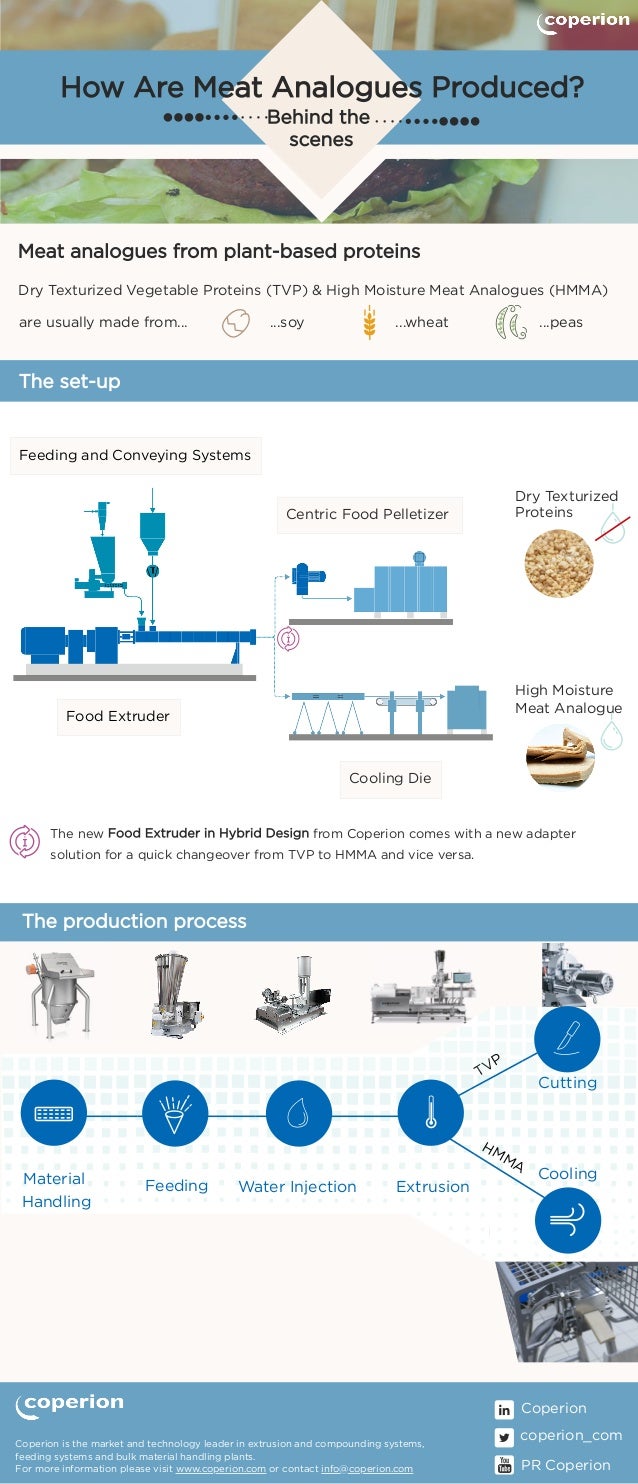 Infographic How Are Meat Analogues Produced? [Behind the scenes]
