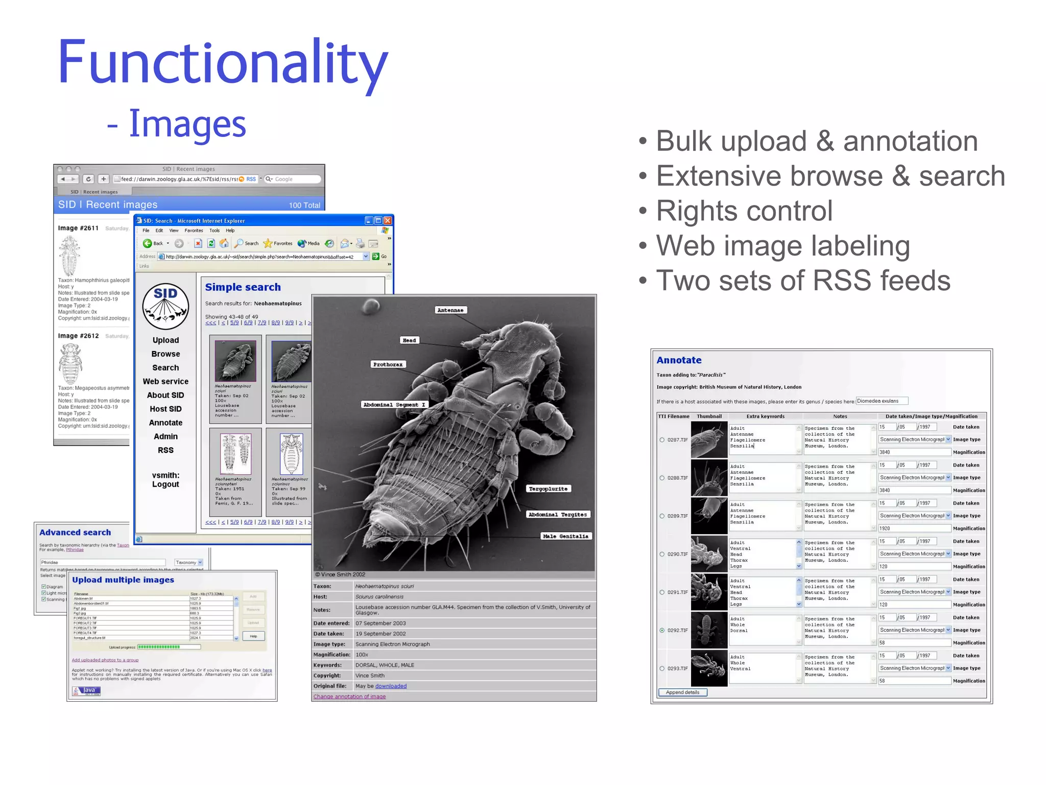 2007.Edit Dev Meeting