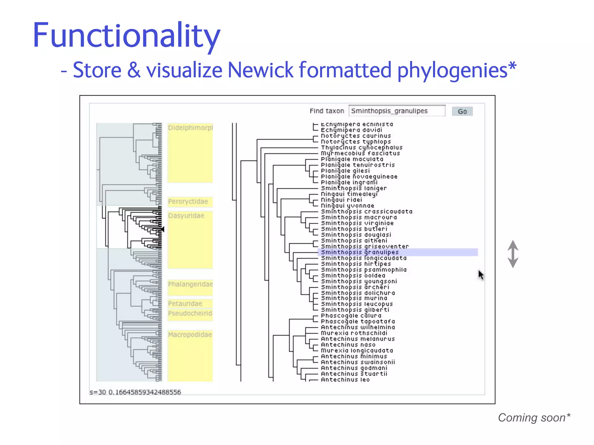 2007.Edit Dev Meeting