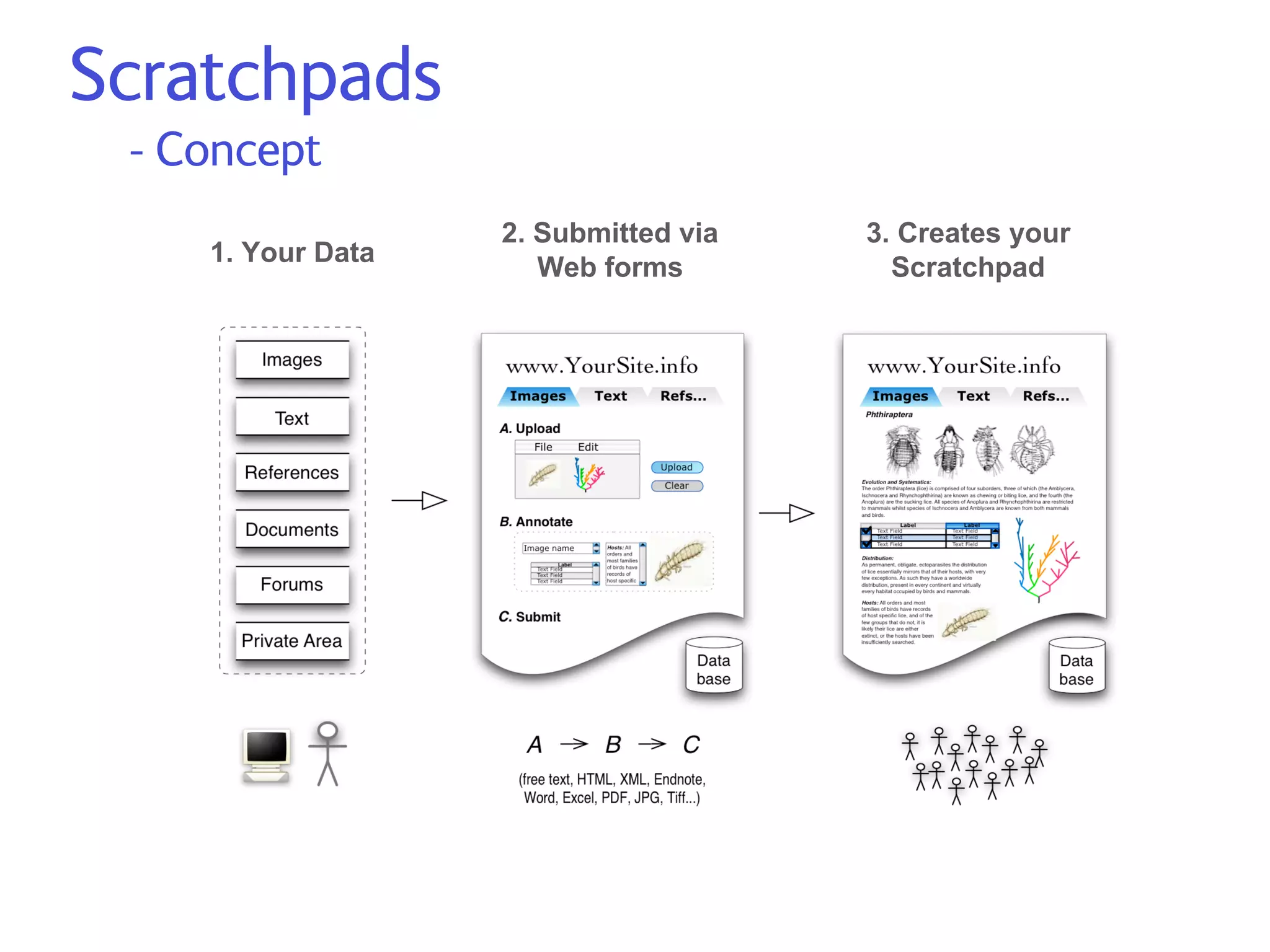 2007.Edit Dev Meeting