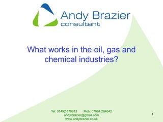 Tel: 01492 879813 Mob: 07984 284642
andy.brazier@gmail.com
www.andybrazier.co.uk
1
What works in the oil, gas and
chemical industries?
 