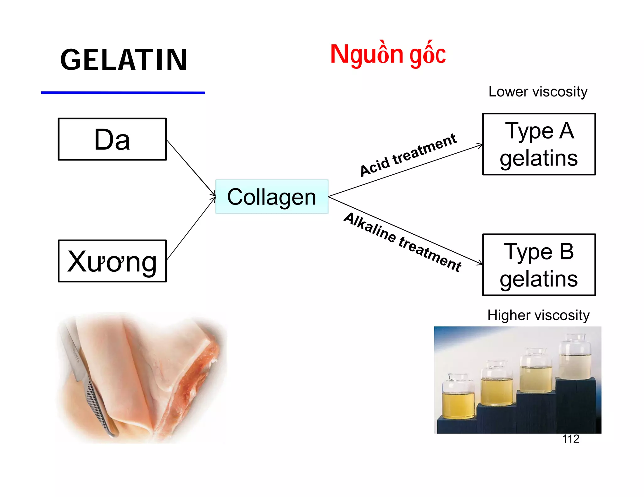 Lower viscosity 
112 
GELATIN Nguồn gốc 
Collagen 
Da 
Xương 
Type A 
gelatins 
Type B 
gelatins 
Higher viscosity 
 