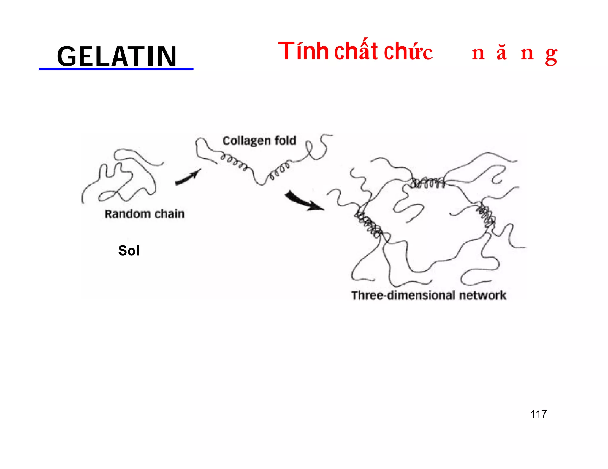 GELATIN Tính chất chứDOƢOH 
117 
Sol 
 