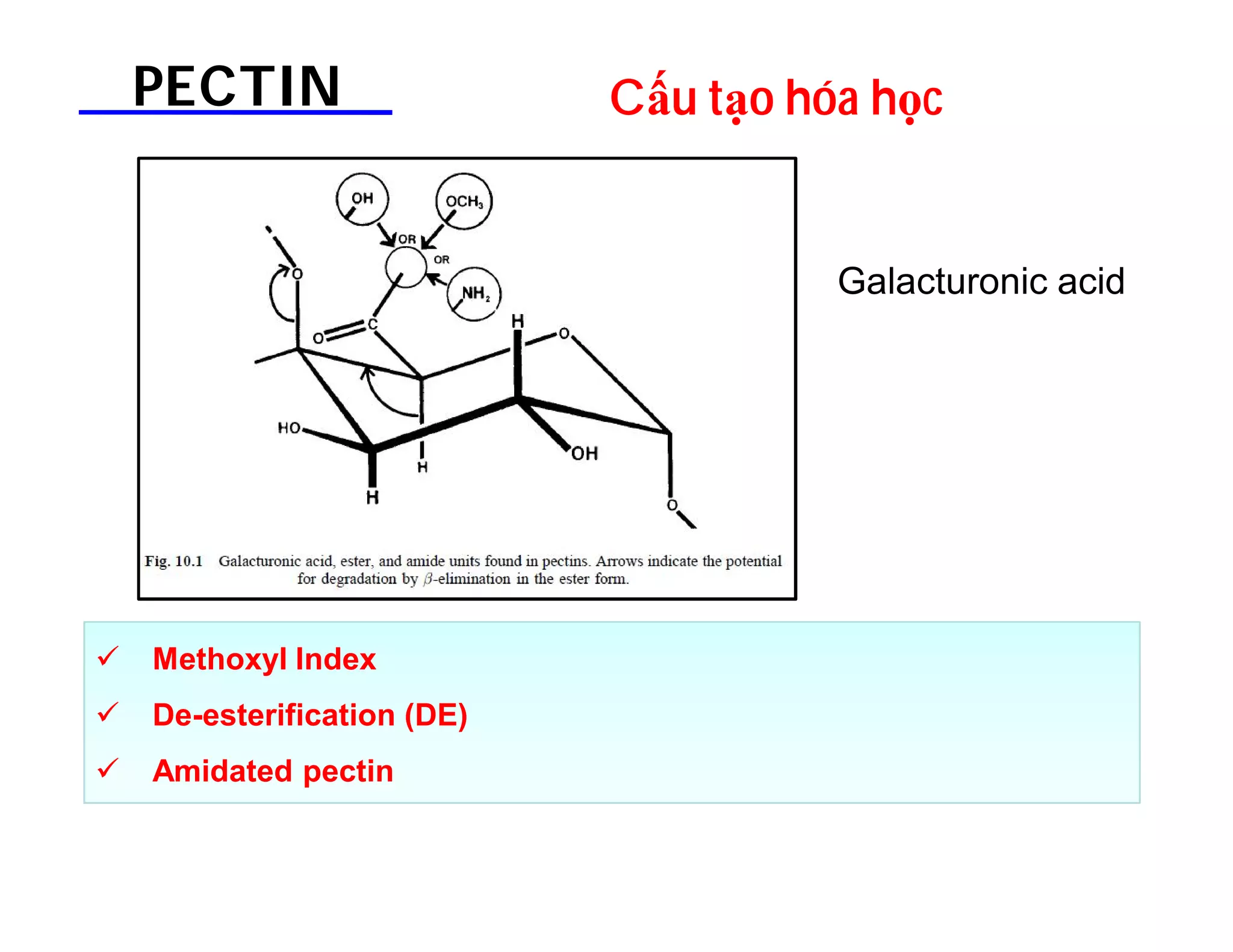 PECTIN Cấu tạo hóa học 
 Methoxyl Index 
 De-esterification (DE) 
 Amidated pectin 
Galacturonic acid 
 