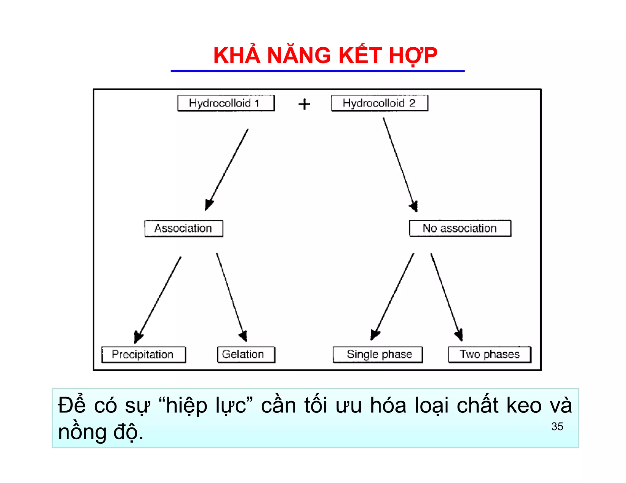 KHẢ NĂNG KẾT HỢP 
Để có sự “hiệp lực” cần tối ưu hóa loại chất keo và 
nồng độ. 35 
 