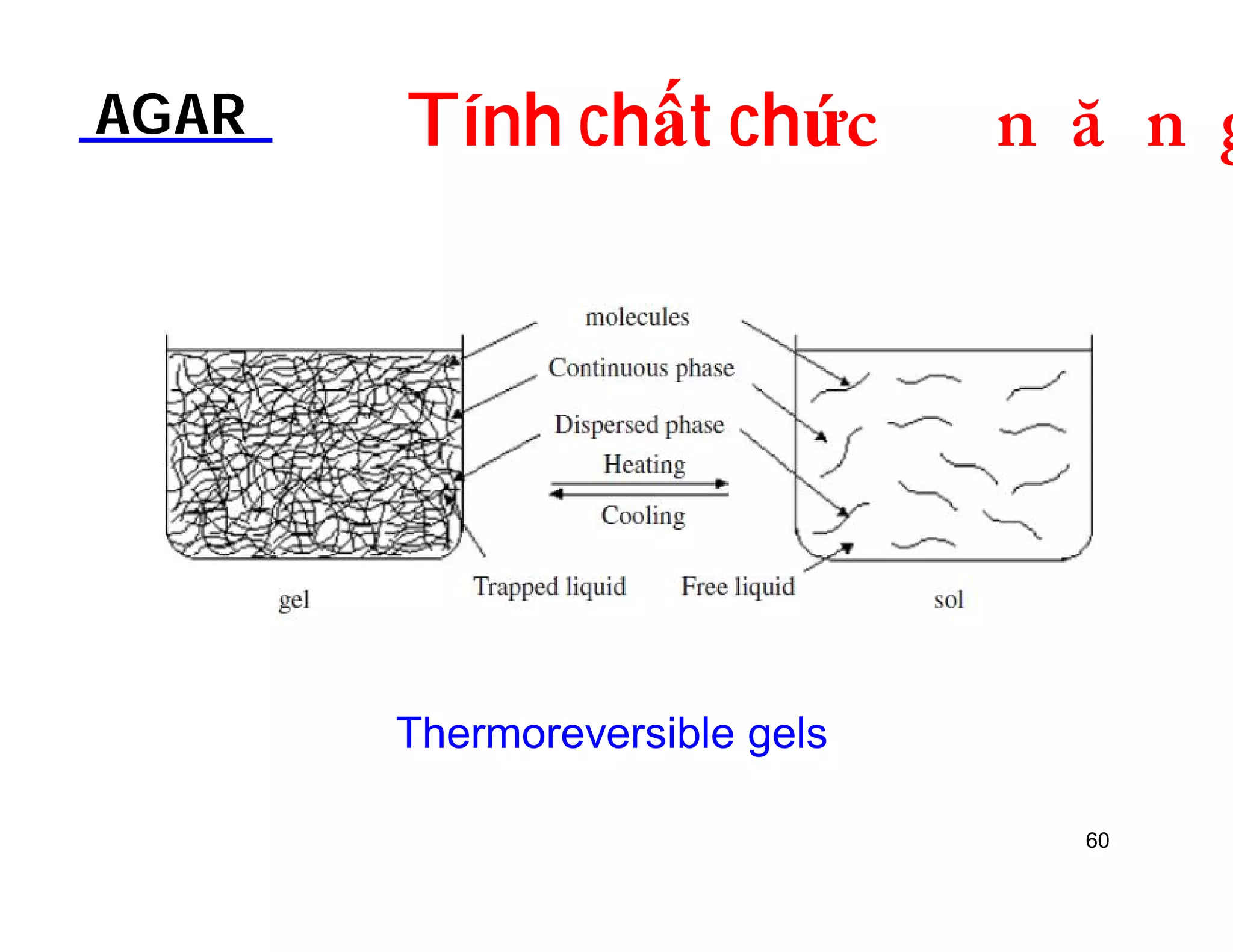 AGAR Tính chất chứDOƢOH 
Thermoreversible gels 
60 
 