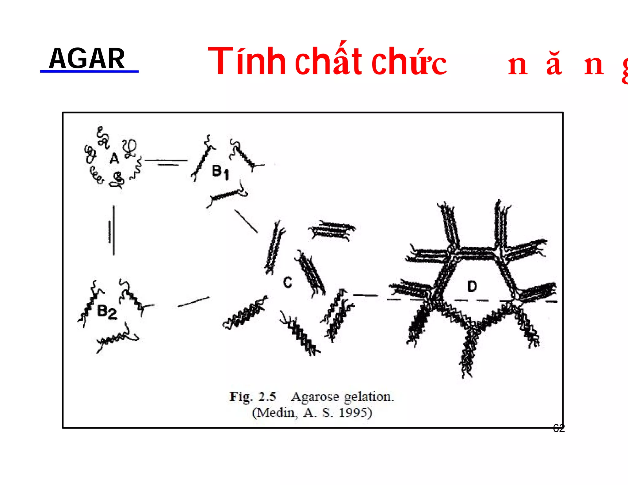 AGAR Tính chất chứDOƢOH 
62 
 