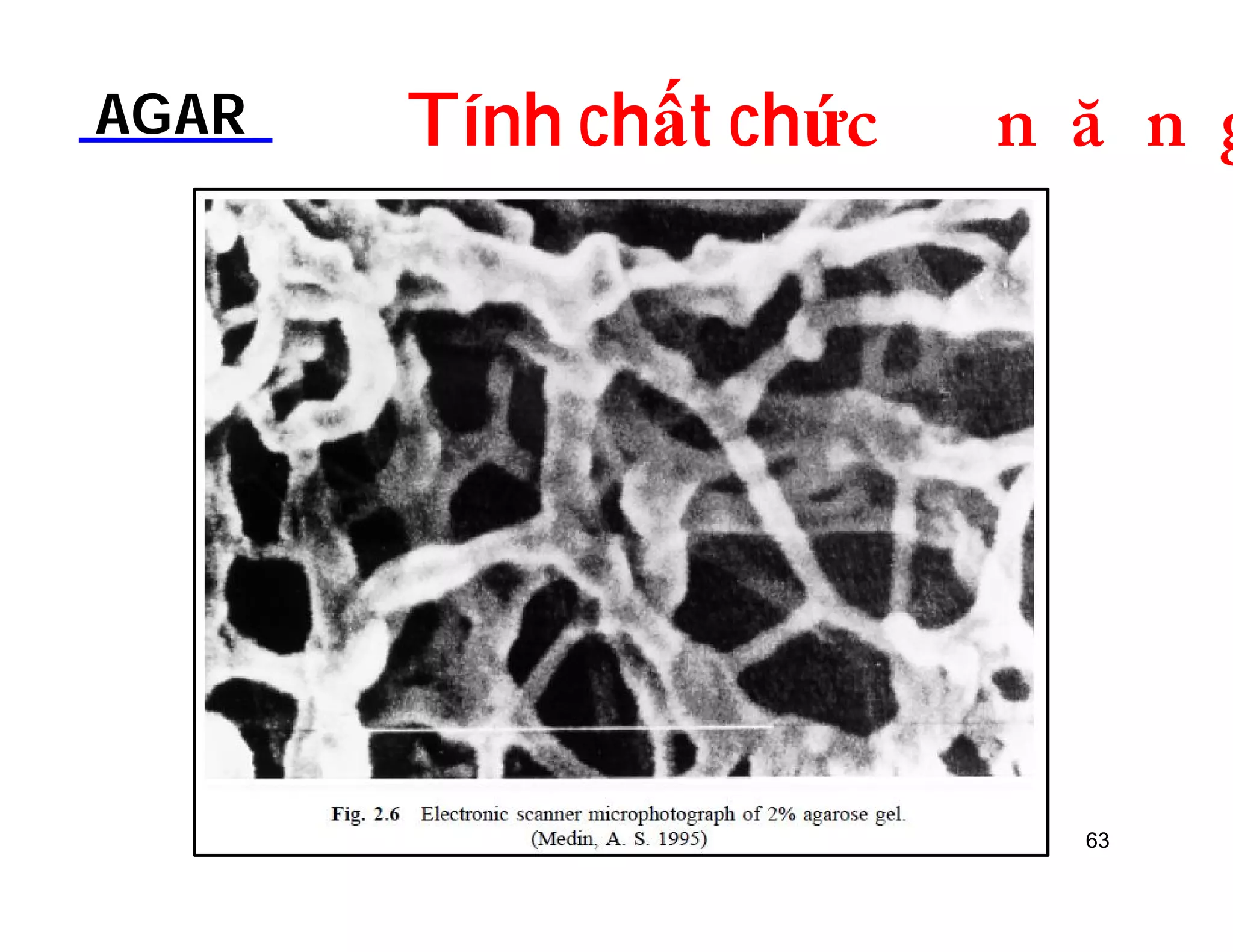 AGAR Tính chất chứDOƢOH 
63 
 