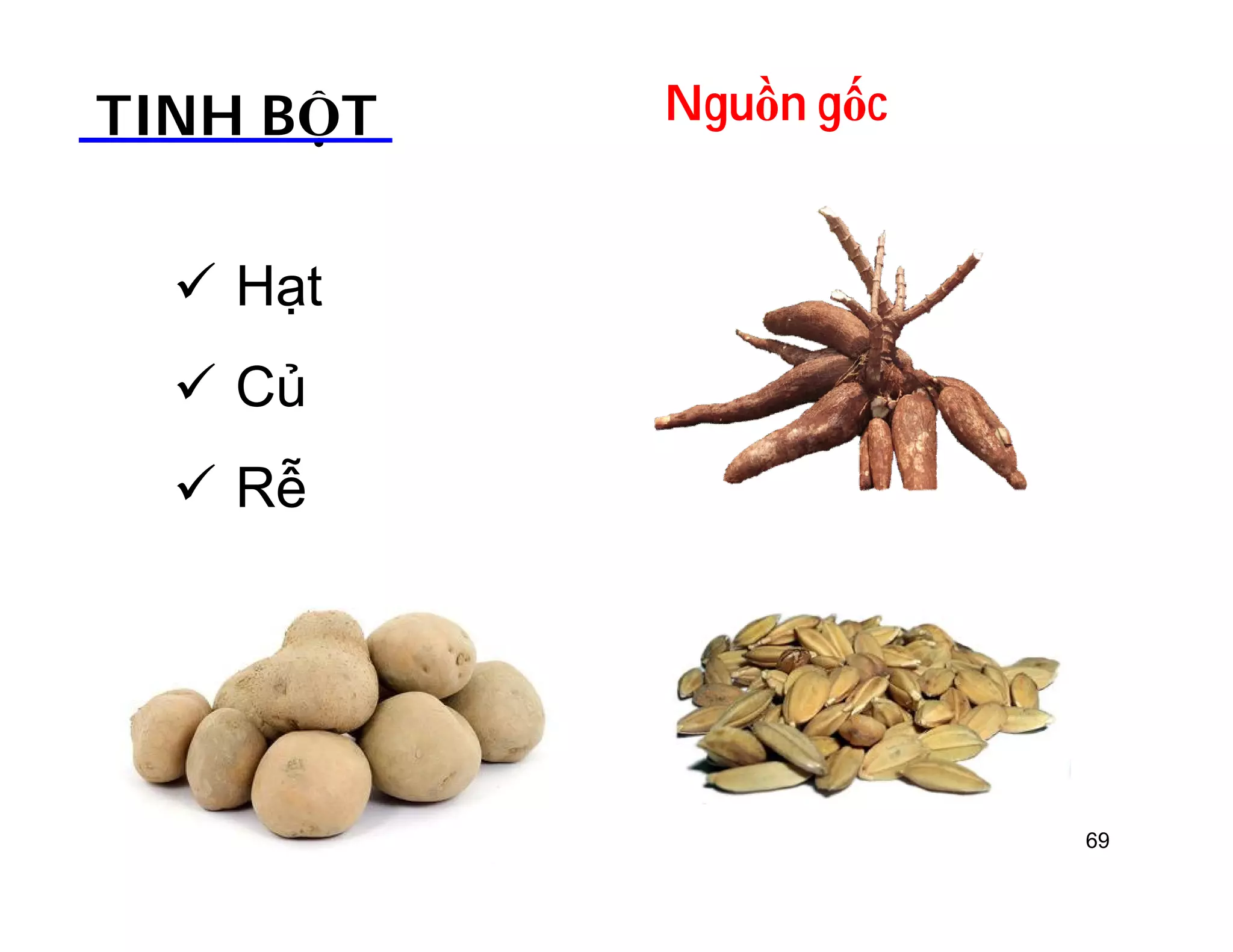 TINH BỘT Nguồn gốc 
 Hạt 
 Củ 
 Rễ 
69 
 