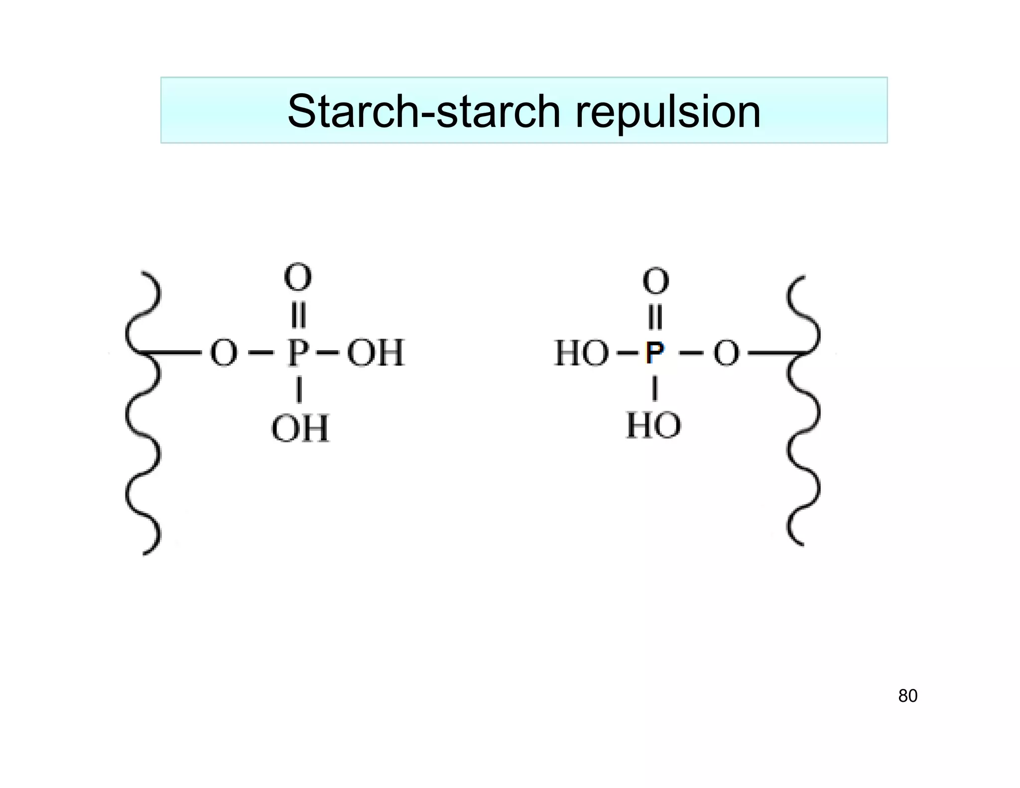 80 
Starch-starch repulsion 
 