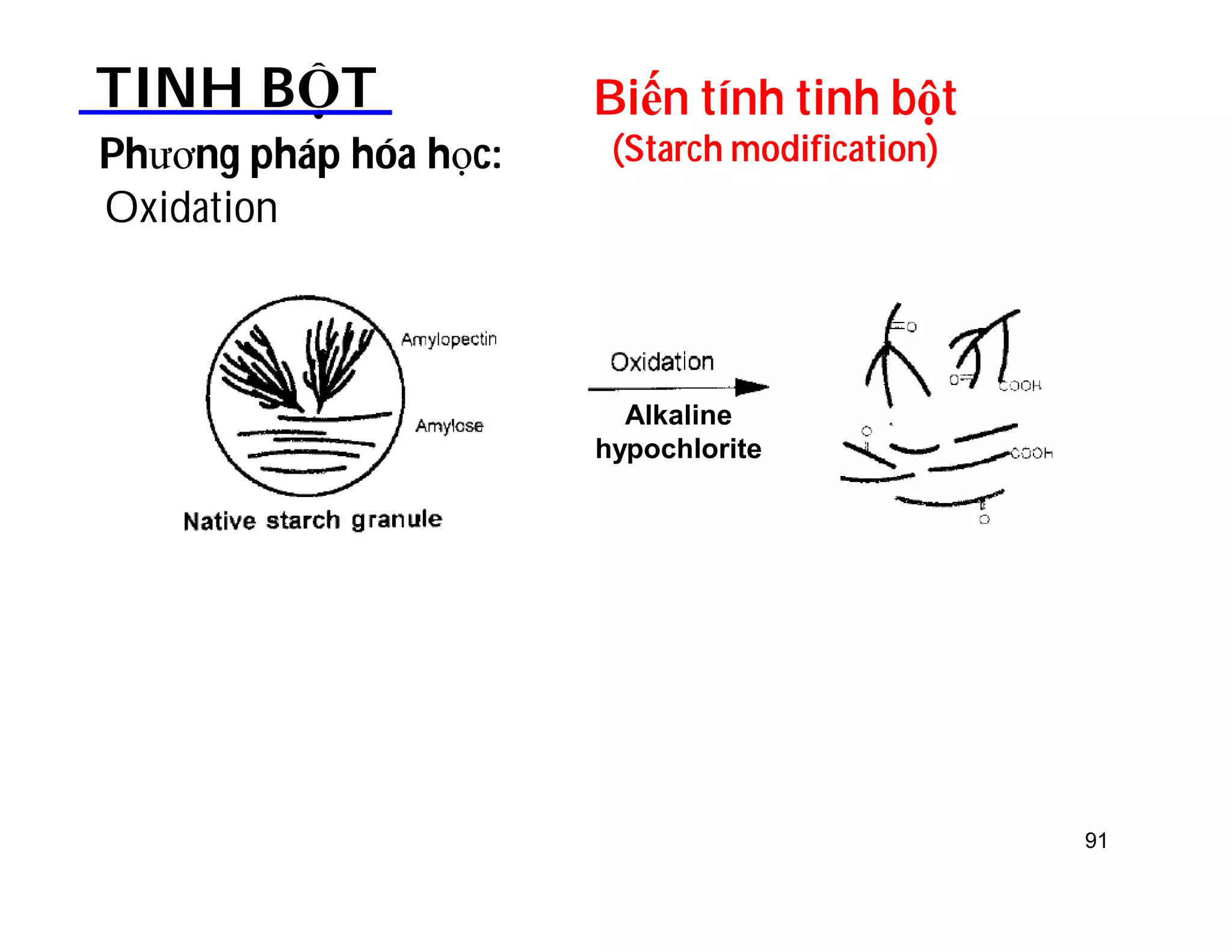 Biến tính tinh bột 
(Starch modification) 
TINH BỘT 
Phương pháp hóa học: 
Oxidation 
Alkaline 
hypochlorite 
91 
 