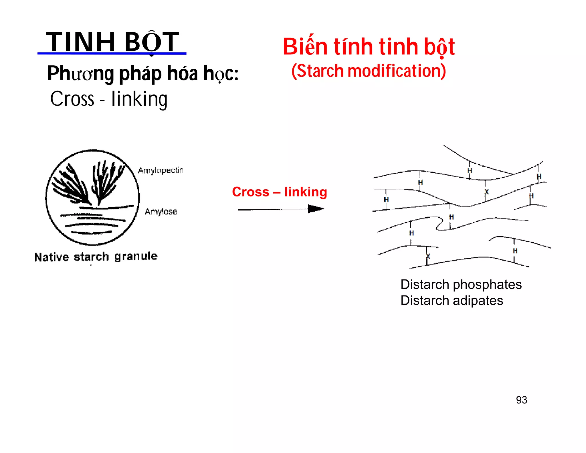 Biến tính tinh bột 
(Starch modification) 
TINH BỘT 
Phương pháp hóa học: 
Cross - linking 
Distarch phosphates 
Distarch adipates 
Cross – linking 
93 
 