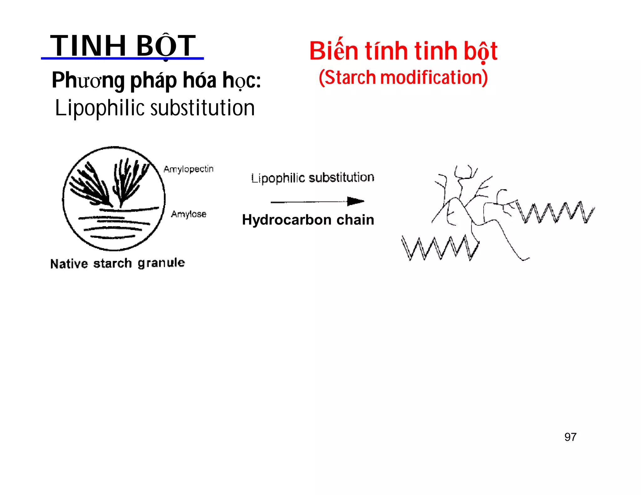 97 
Biến tính tinh bột 
(Starch modification) 
TINH BỘT 
Lipophilic substitution 
Phương pháp hóa học: 
Hydrocarbon chain 
 