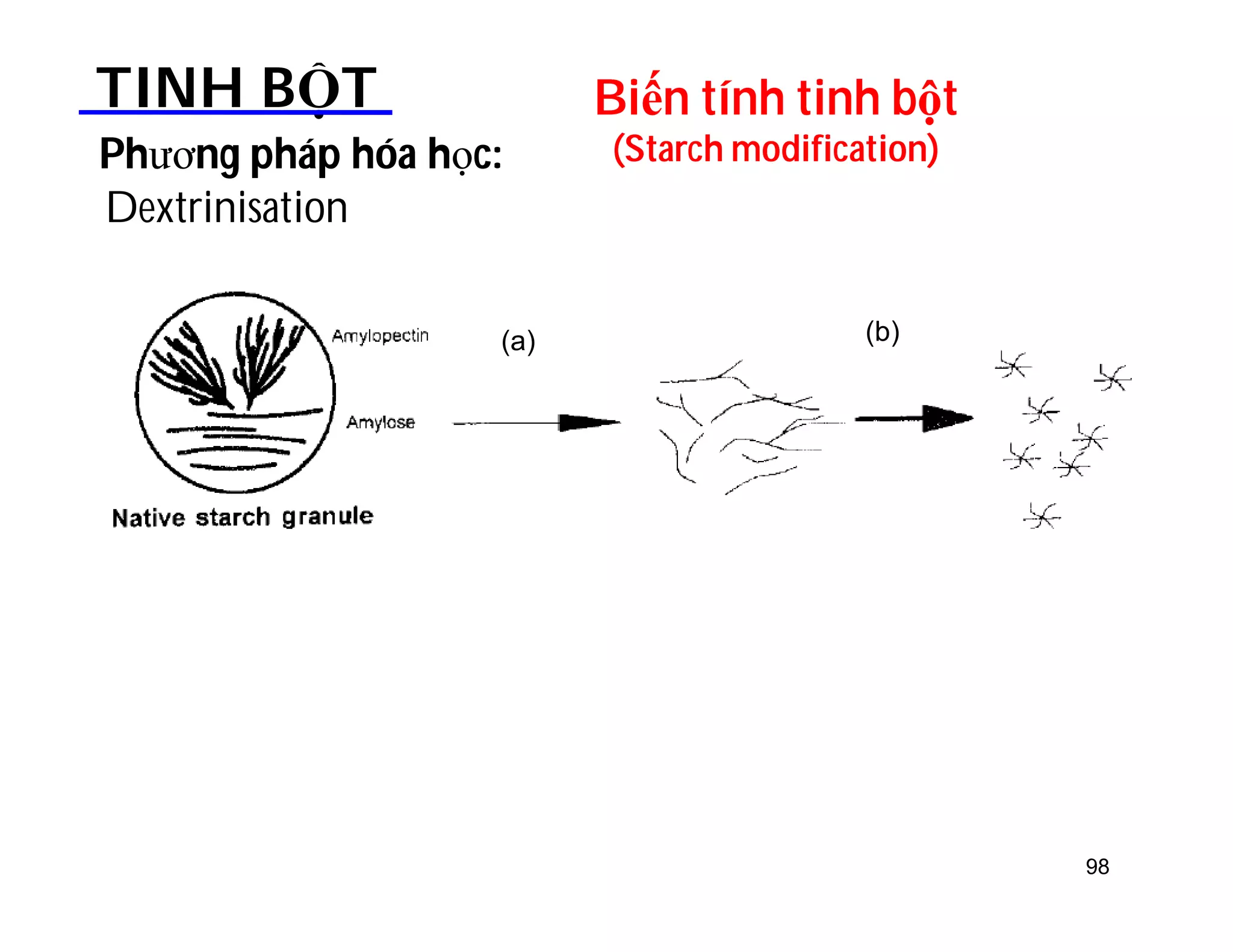 98 
Biến tính tinh bột 
(Starch modification) 
TINH BỘT 
Dextrinisation 
Phương pháp hóa học: 
(a) (b) 
 