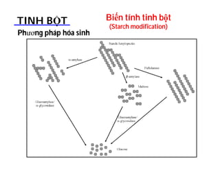 Biến tính tinh bột 
(Starch modification) TINH BỘT 
Phương pháp hóa sinh 
 