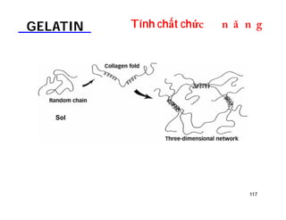 GELATIN Tính chất chứDOƢOH 
117 
Sol 
 