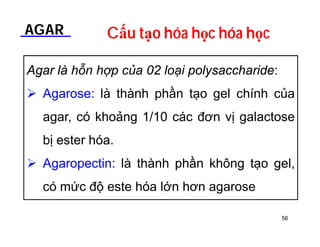 AGAR Cấu tạo hóa học hóa học 
Agar là hỗn hợp của 02 loại polysaccharide: 
 Agarose: là thành phần tạo gel chính của 
agar, có khoảng 1/10 các đơn vị galactose 
bị ester hóa. 
 Agaropectin: là thành phần không tạo gel, 
có mức độ este hóa lớn hơn agarose 
56 
 