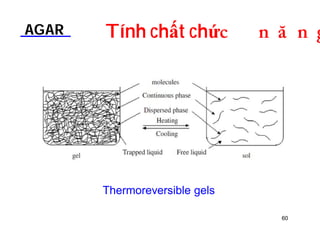 AGAR Tính chất chứDOƢOH 
Thermoreversible gels 
60 
 