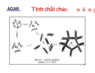 AGAR Tính chất chứDOƢOH 
62 
 