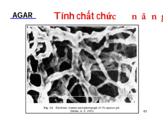 AGAR Tính chất chứDOƢOH 
63 
 