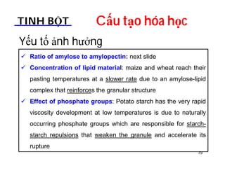 TINH BỘT Cấu tạo hóa học 
Yếu tố ảnh hưởng 
 Ratio of amylose to amylopectin: next slide 
 Concentration of lipid material: maize and wheat reach their 
pasting temperatures at a slower rate due to an amylose-lipid 
complex that reinforces the granular structure 
 Effect of phosphate groups: Potato starch has the very rapid 
viscosity development at low temperatures is due to naturally 
occurring phosphate groups which are responsible for starch-starch 
repulsions that weaken the granule and accelerate its 
rupture 
79 
 