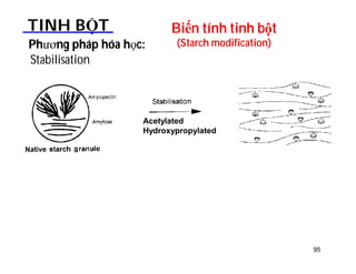 Biến tính tinh bột 
(Starch modification) 
TINH BỘT 
Stabilisation 
Phương pháp hóa học: 
95 
Acetylated 
Hydroxypropylated 
 