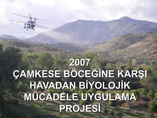 2007
ÇAMKESE BÖCEĞĠNE KARġI
   HAVADAN BĠYOLOJĠK
  MÜCADELE UYGULAMA
        PROJESĠ
 