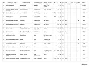 WU          BOTANICAL NAME                     COMMON NAME            FLOWER COLOR          BLOOM SEASON          PT     H     W    GS TOXIC   AL   INV   SCA HARDY    ORIGIN

 2    Salvia mohavensis                  Mohave Sage                  Lavender             Spring to mid-          S     3     3    Wi                                  SD, MD
                                                                                           Summer

 3    Sambucus nigra spp. Cerulea        Mexican Elderberry           Creamy White         Winter and Spring       T     30    20   Wi                                  SD,CD
      (S.mexicana)

 2    Santolina chamaecyparissus         Lavender Cotton              Yellow/ silvery      Spring                 S,Gc   2     3    Wi                                  Medit.
                                                                      foliage

 3    Santolina virens                   Green Santolina              Creamy Yellow        Spring                 S,Gc   2     2    Wi                                  Medit.



 3    Sapindus sapnaria saponaria        Soapberry                    Creamy White         Late Spring             T     30    30   Su   Yes                   sh        Mex.



 2    Sapindus sapnaria drummondii       Soapberry                    Creamy White         Late Spring             T     30    30   Su   Yes                            SD,CD



 3    Schinus molle                      California Pepper Tree       Yellow-white         Summer                  T     40    45   Su         b                       S. Amer.
                                                                      (insignificant)

 2    Senecio cineraria                  Dusty Miller, Silver Plant   Yellow/silvery       Spring                  P     2     2    Wi   Yes                            Medit.
                                                                      foliage

 1    Senna covesii (Cassia)             Desert Senna                 Yellow               Late Spring to early    P     1     1    Su                                    SD
                                                                                           Fall

 2    Senna lindheimeriana (Cassia)      Senna                        Yellow               Summer to Fall          S     3     2    Wi                         sh         CD



 1    Senna purpussi (Cassia)            Baja Senna                   Yellow               Winter to Spring        S     6     5    Wi                         sh        Baja



 2    Senna wislizenii (Cassia)          Cassia, Shrubby Senna        Yellow               Summer                  S     8     8    Su                                  SD,CD



 2    Sesuvium verrucosum                Sea Purslane, Ice Plant      Pink                 Early Spring to Fall   Gc     0.5   3    Su                         t         Africa



 1    Simmondsia chinensis &             Jojoba, Goat Nut             Green                Spring                  S     8     8    Wi         a                          SD
      varieties                                                       inconspicuous

 2    Sophora secundiflora & varieties   Texas Mountain Laurel        Purple to Lavender   Spring                 T,S    25    15   Su   Yes                              CD




Tuesday, March 27, 2007                                                                                                                                               Page 26 of 30
 