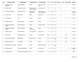 WU          BOTANICAL NAME                       COMMON NAME         FLOWER COLOR            BLOOM SEASON          PT     H     W     GS TOXIC   AL   INV   SCA HARDY    ORIGIN

 2    Thymophylla acerosa               Scrubby Dogweed              Yellow                 Late Spring to early   Gc      .5   .5    Su                                  SD,CD
      (Dyssodia)                                                                            Fall

 2    Trichloris crinita                Two-feather Trichloris       White dries to Tan -   Late Spring to Fall    Gr      3    1     Su         a                        SD,CD
                                                                     reddish highlights

 2    Trichocereus & varieties          Trichocereus Cactus          White, Yellow,         Varies by variety       C     1-15 1-5    Su                                 S. Amer.,
                                                                     Oragne, Red            Spring, Summer, Fall                                                         Argentina

 2    Tridens muticus                   Slim Tridens                 White                  Spring to Fall         Gr     1.5   0.5   Su         b                        SD,CD



 2    Trixis californica                Trixis                       Yellow                 Spring                  S     3.5   3.5   Su                          sh     CA to TX



 3    Ungnadia speciosa                 Mexican Buckeye              Rose-pink              Spring                  T     12    12    Su                                    CD



 2    Vauquelinia californica &         Arizona Rosewood             White                  Spring to Summer       T,S    25    15    Su                                    SD
      varieties

 2    Vauquelinia corymbosa &           Mexican Rosewood             White                  Spring                  S     15    20    Su                                 TX, Mex.
      varieties                                                      inconspicuous

 3    Verbena peruviana                 Peruvian Verbena             Pink, Blue, Purple     Spring to Fall          P     0.2   3     Su                                 S. Amer.



 3    Verbena rigida                    Sandpaper Verbena            Purple                 Summer to Fall         Gc,P    2    4     Su                    Yes          S. Amer.



 3    Verbena tenuisecta 'Edith'        Moss Verbena                 Lavender, Purple       Spring                 Gc P   1-2   4-5   Su,                   Yes          S. Amer.
                                                                                                                                      Wi

 2    Verbesina encelioides             Crown Beard                  Yellow                 Spring                 An      3    3     Wi                    Yes           SD,CD



 2    Viguiera parishii (V deltoidea)   Goldeneye                    Yellow                 Spring, Late Summer     P      3    3     Wi,                                   SD
                                                                                                                                      Su

 3    Viguiera stenoloba                Skeleton-leaf Goldeneye      Yellow                 Summer to Fall          S     4-6   3-4   Su                          sh    TX, NM, No.
                                                                                                                                                                            Mex.

 2    Vitex agnus-castus                Chaste Tree, Monk's Pepper   Blue                   Summer to Fall         T,S    25    25    Su                                   Medit.




Tuesday, March 27, 2007                                                                                                                                                 Page 28 of 30
 