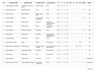 WU          BOTANICAL NAME                  COMMON NAME             FLOWER COLOR         BLOOM SEASON          PT      H    W     GS TOXIC   AL   INV   SCA HARDY    ORIGIN

 2    Agave lophantha (univittata)     Holly Agave; Center Stripe   Greenish Yellow     Once                   A,Sc    3    6     Su                                    CD
                                       Agave

 2    Agave macroacantha               Black Spine Agave            Green               Once                   A,Sc    2    2     Su                          sh       Mex.



 2    Agave montana                    Mountain Agave               Green, Creamy       Once                   A,Sc    4    6     Su                                   Mex.
                                                                    White

 2    Agave multifilifera              Chahuiqui                    Light Green with    Once                   A,Sc    3    5     Su                          sh        CD
                                                                    Pink Margins

 2    Agave murpheyi                   Murphy Agave                 Pale Green          Once (Fall)            A,Sc    3    3     Su                                    SD
                                                                                        produces bulbils on
                                                                                        flower stalk
 2    Agave ocahui                     Ocahui Agave                 Yellow              Once (Spring to        A,Sc    3    3     Su                                    SD
                                                                                        Summer)

 2    Agave ovatifolia                 Whales Tongue Agave          Pale Green          Once                   A,Sc    3    3     Su                          sh       Mex.



 2    Agave palmeri                    Palmer Agave                 Pale Green          Once (Summer)          A,Sc    4    4     Su                                    SD
                                                                                        produces bulbils on
                                                                                        flower stalk
 2    Agave parrasana                  Parras Agave                 Yellow              Once                   A,Sc    2    2     Su                                   Mex.



 2    Agave parryi & varieties         Agave                        Yellow              Once (Summer)          A, Sc   2    2     Su                    Yes             CD



 2    Agave parryi var. huachucensis   Huachuca Agave               Pink buds opening   Once (Late Spring to   A,Sc    2    3     Su              Yes   Yes             SD
                                                                    to Yellow           early Summer)

 2    Agave parviflora                 Small Flowered Agave         Pale Yellow         Once (Summer)          A,Sc    .5   .7    Su                                    SD



 2    Agave pelona                     Mescal Pelon                 Red                 Once (Spring)          A, Sc   2    2.5   Wi                                    SD



 2    Agave potatorum                  Butterfly Agave              Pale Green          Once                   A,Sc    1    2     Su                          t     Oaxaca Mex.



 2    Agave salmiana ssp. Ferox        Pulque Agave, Salm's Agave   Yellow above        Once                   A,Sc    4    6     Su                          sh    Central Mex.
                                                                    Green below



Tuesday, March 27, 2007                                                                                                                                              Page 3 of 30
 
