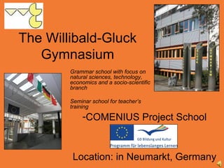 The Willibald-Gluck Gymnasium ,[object Object],[object Object],Grammar school with focus on natural sciences, technology, economics and a socio-scientific branch Seminar school for teacher’s training 