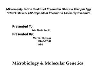 Micromanipulation Studies of Chromatin Fibers in Xenopus Egg Extracts Reveal ATP-dependent Chromatin Assembly Dynamics Presented To:                                  Ms. NaziaJamil Presented By: MazharHussain                                           MMG-07-37                                            BS-6 Microbiology & Molecular Genetics 